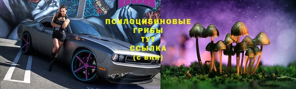 гашик Осинники