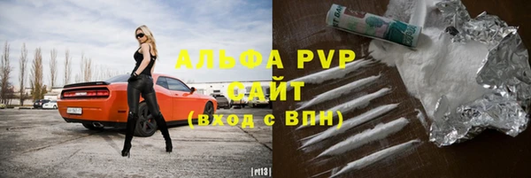 гашик Осинники