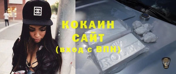 гашик Осинники