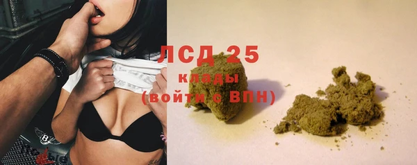гашик Осинники