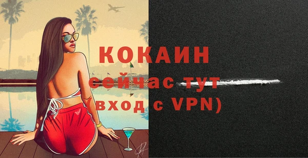 гашик Осинники