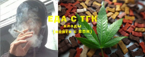 гашик Осинники