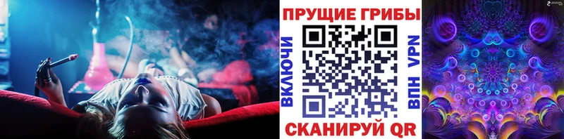 Галлюциногенные грибы MAGIC MUSHROOMS  Светлогорск 